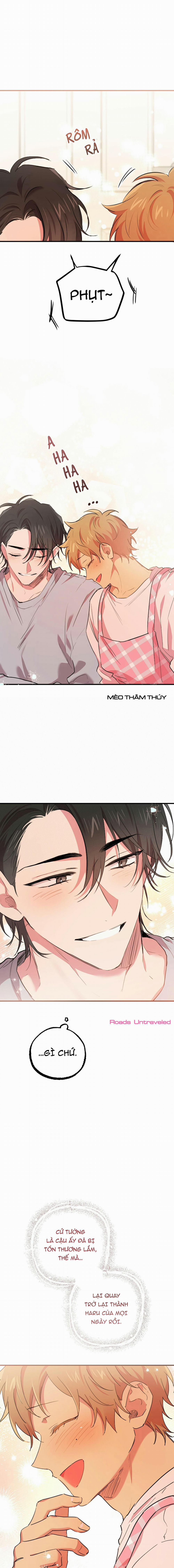 Những Chú Thỏ Của Habibi 18 trang 24