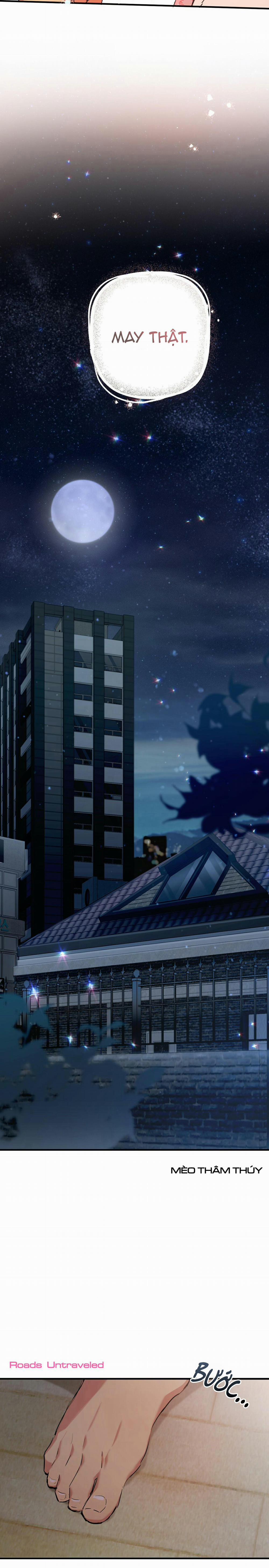 Những Chú Thỏ Của Habibi 18 trang 25