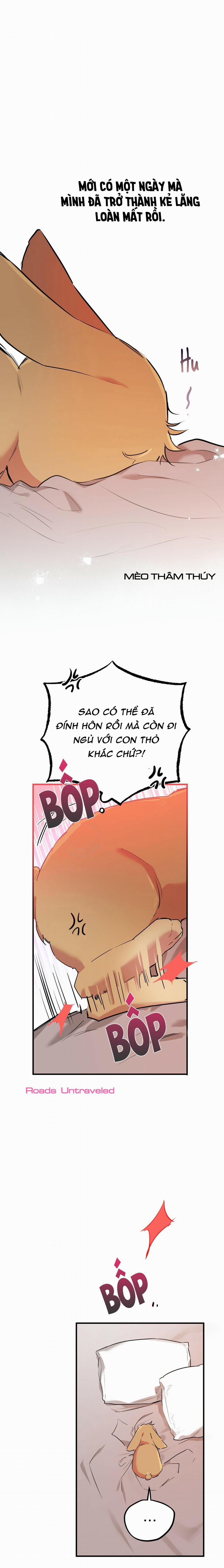 Những Chú Thỏ Của Habibi 18 trang 8