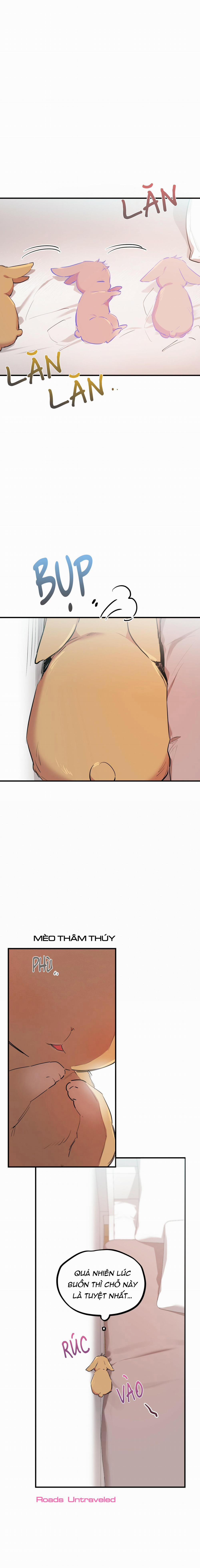 Những Chú Thỏ Của Habibi 18 trang 9