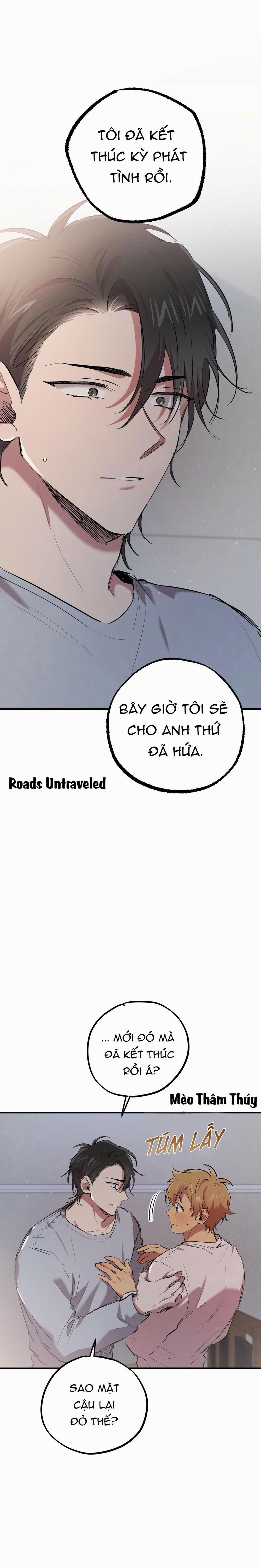 Những Chú Thỏ Của Habibi 19 trang 0