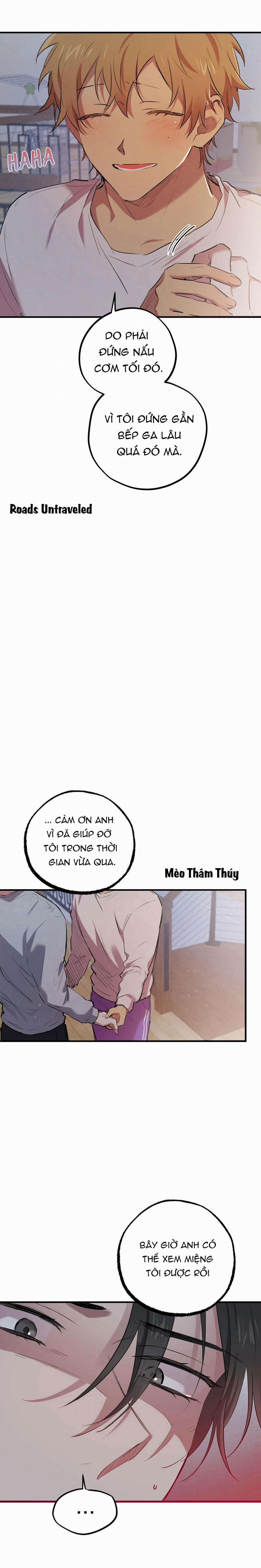 Những Chú Thỏ Của Habibi 19 trang 1