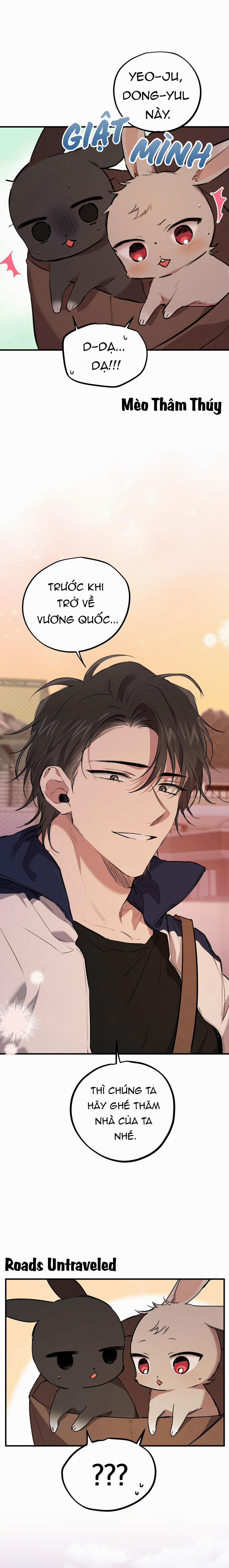 Những Chú Thỏ Của Habibi 19 trang 10