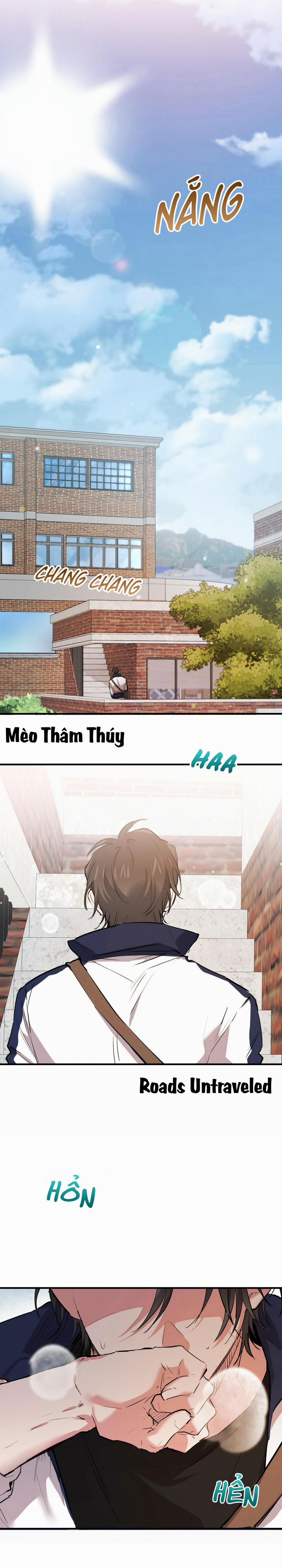 Những Chú Thỏ Của Habibi 19 trang 11