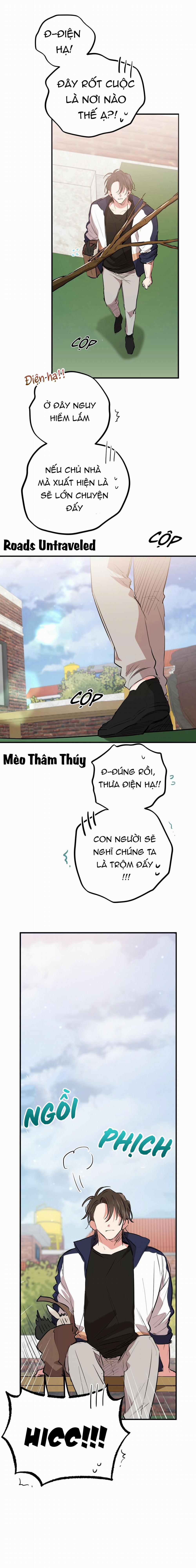 Những Chú Thỏ Của Habibi 19 trang 12