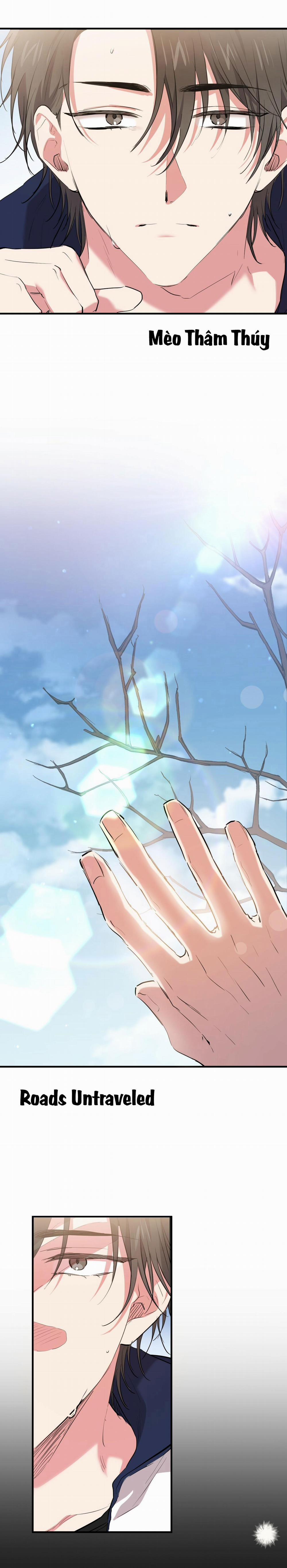 Những Chú Thỏ Của Habibi 19 trang 13