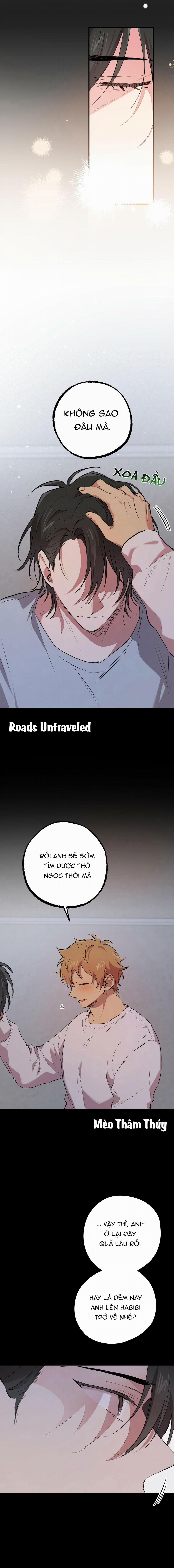 Những Chú Thỏ Của Habibi 19 trang 14