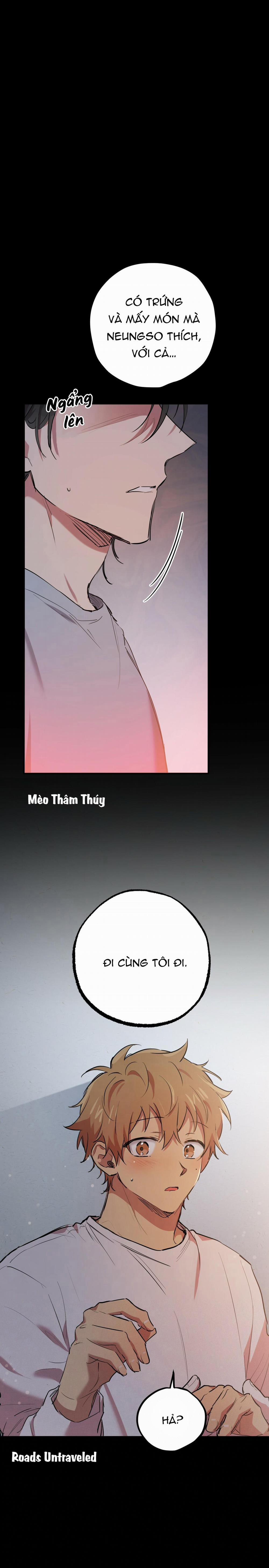 Những Chú Thỏ Của Habibi 19 trang 16