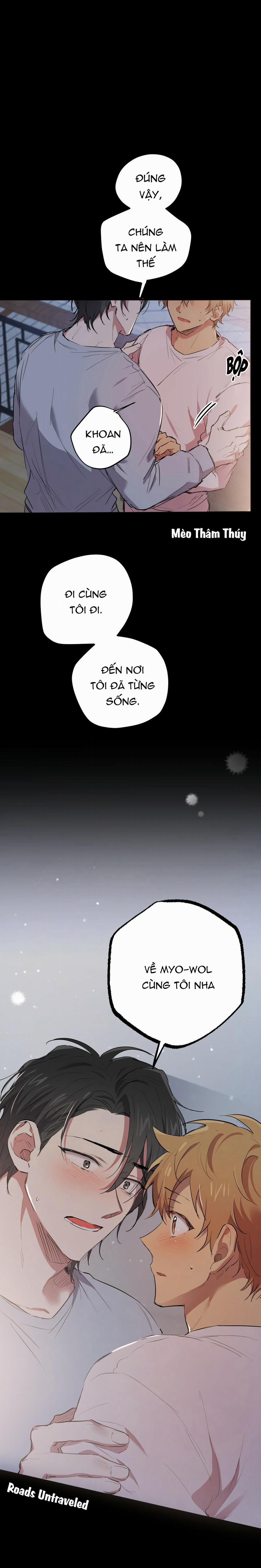 Những Chú Thỏ Của Habibi 19 trang 17