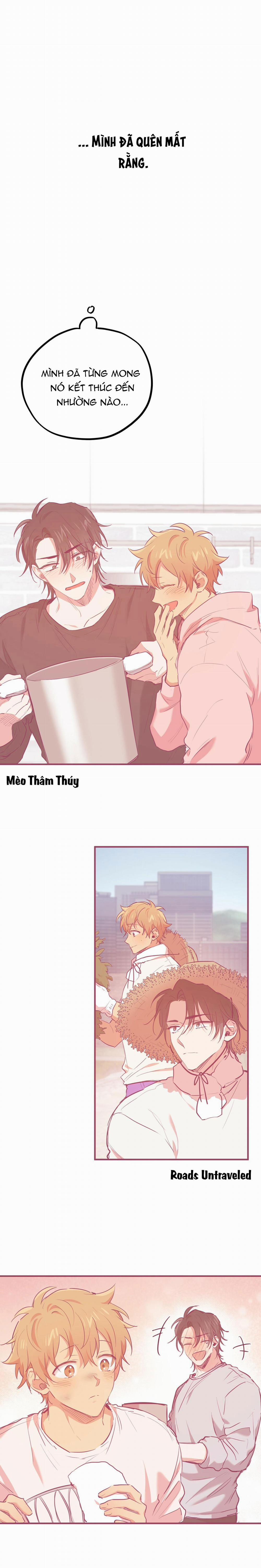 Những Chú Thỏ Của Habibi 19 trang 2