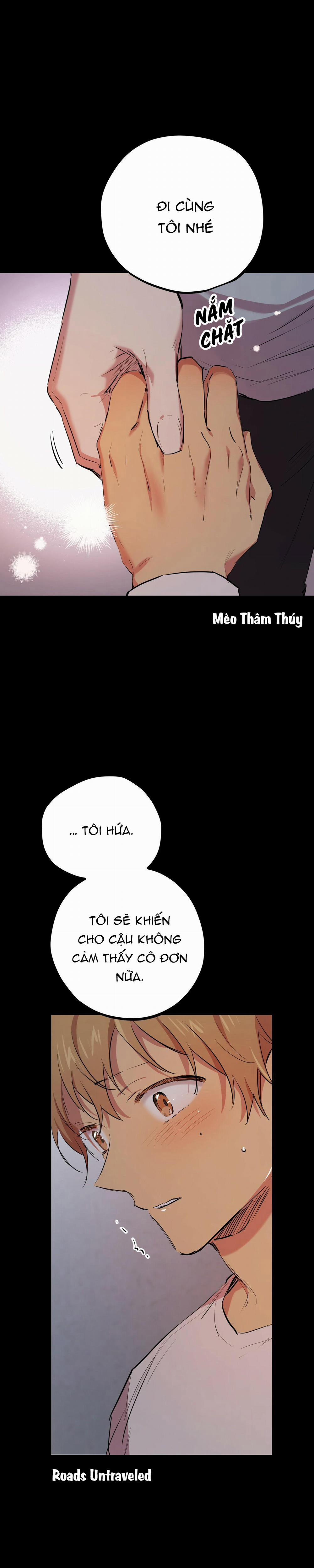 Những Chú Thỏ Của Habibi 19 trang 20