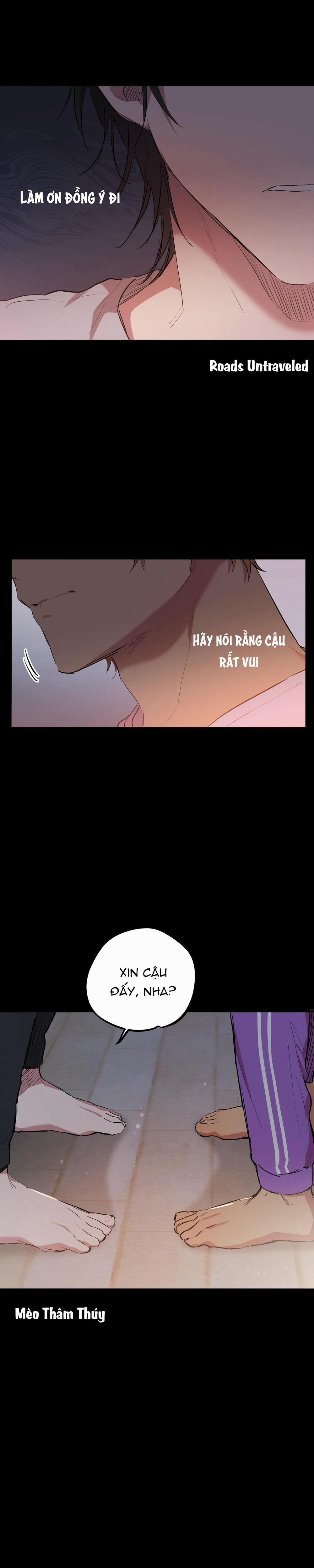 Những Chú Thỏ Của Habibi 19 trang 21