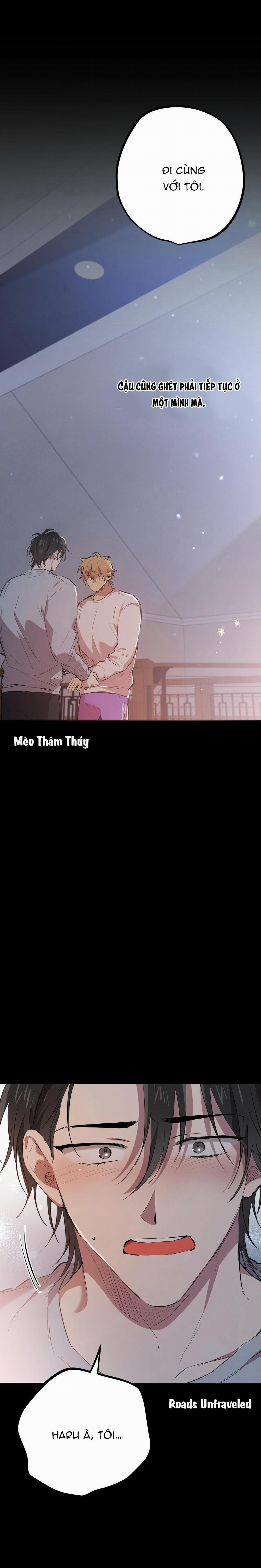 Những Chú Thỏ Của Habibi 19 trang 22