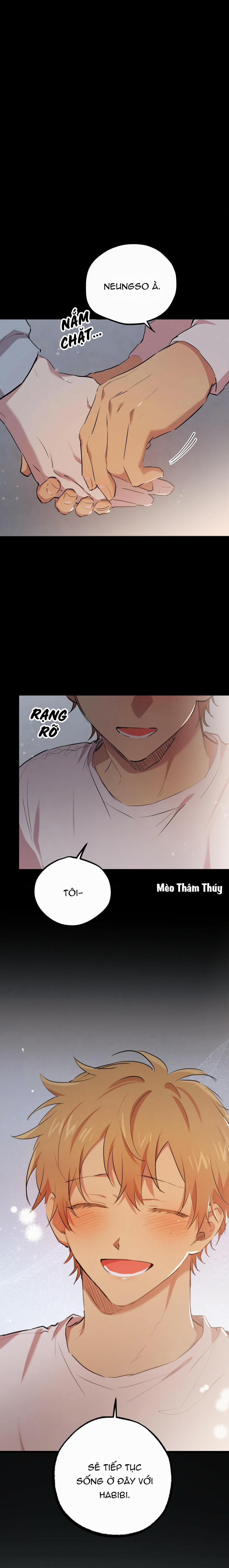 Những Chú Thỏ Của Habibi 19 trang 23