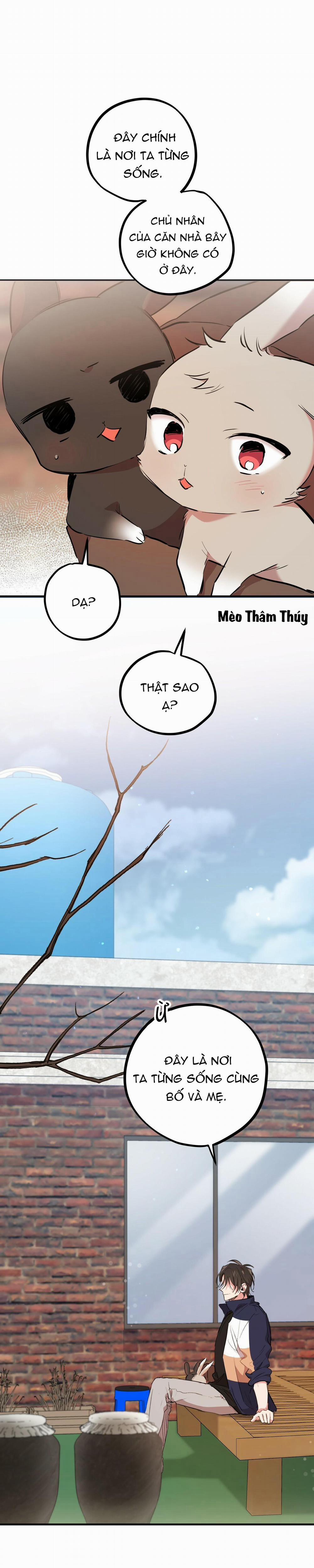 Những Chú Thỏ Của Habibi 19 trang 25