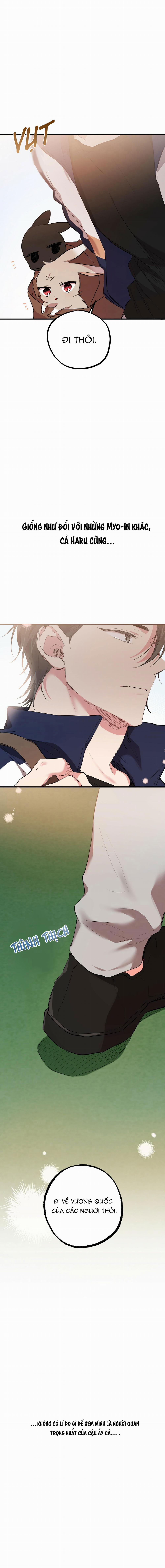 Những Chú Thỏ Của Habibi 19 trang 29