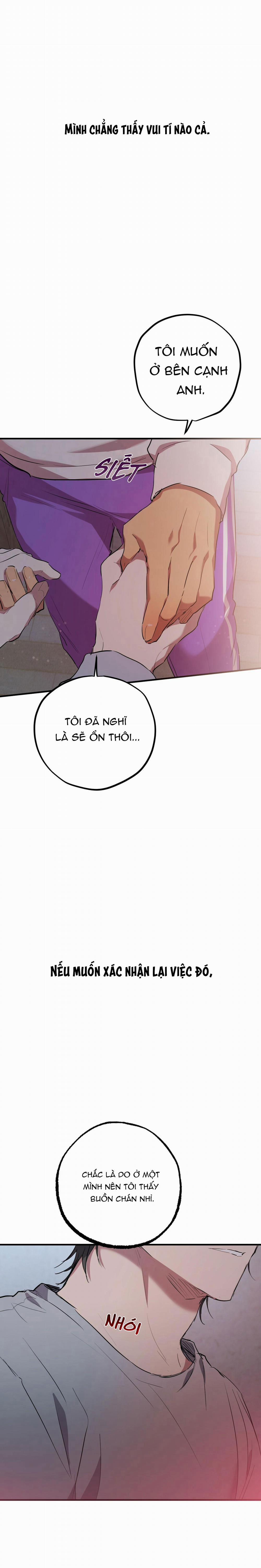 Những Chú Thỏ Của Habibi 19 trang 4