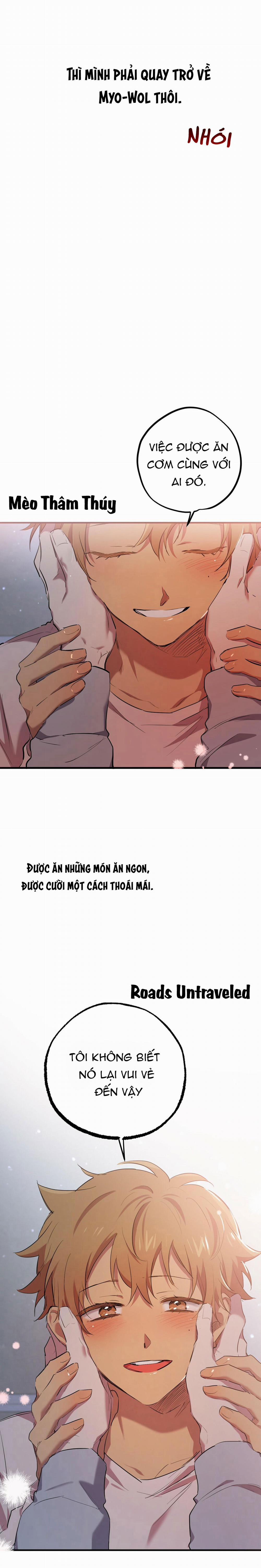 Những Chú Thỏ Của Habibi 19 trang 5