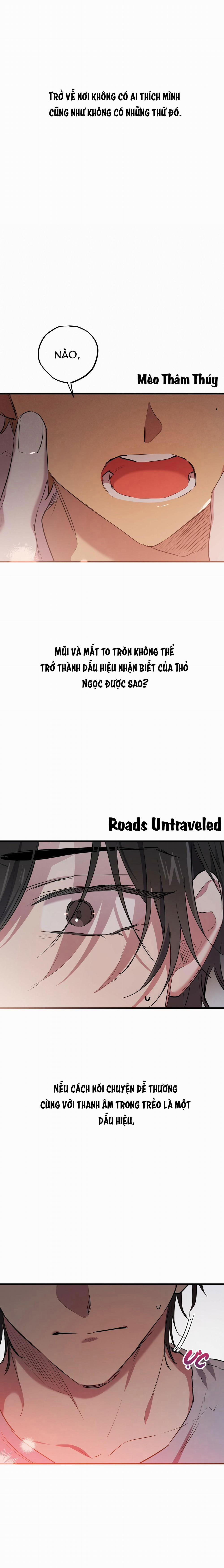 Những Chú Thỏ Của Habibi 19 trang 6