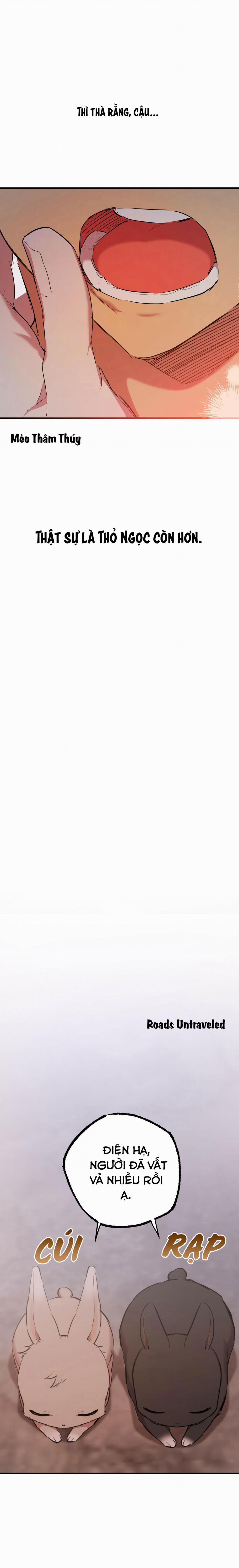 Những Chú Thỏ Của Habibi 19 trang 7