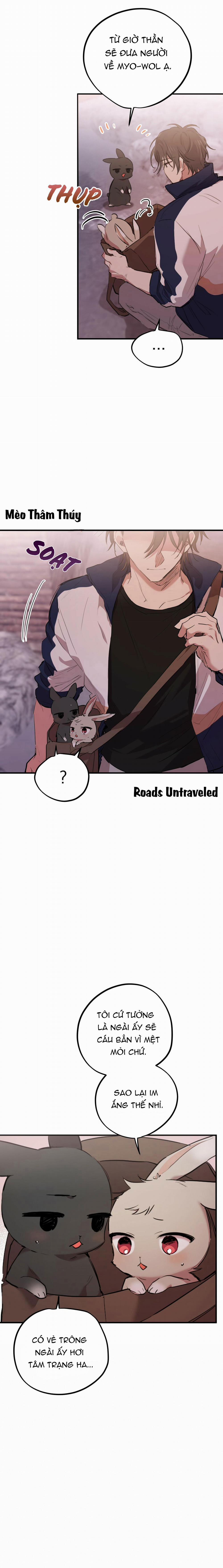 Những Chú Thỏ Của Habibi 19 trang 8