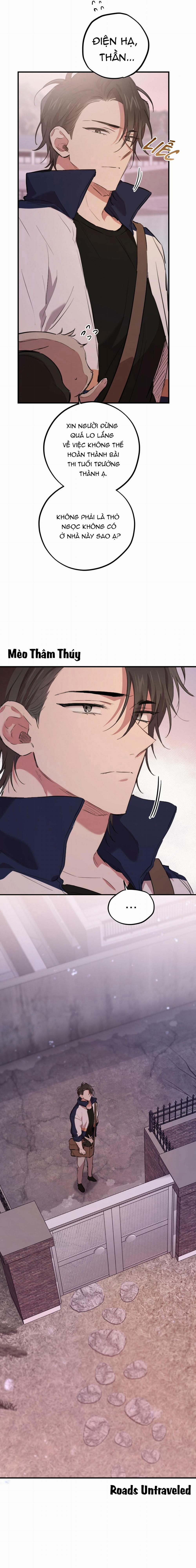 Những Chú Thỏ Của Habibi 19 trang 9