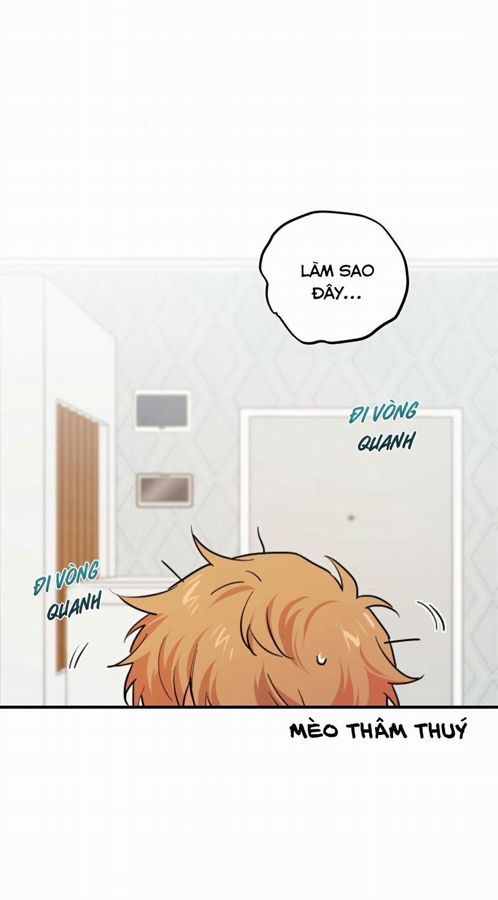 Những Chú Thỏ Của Habibi 2 trang 0