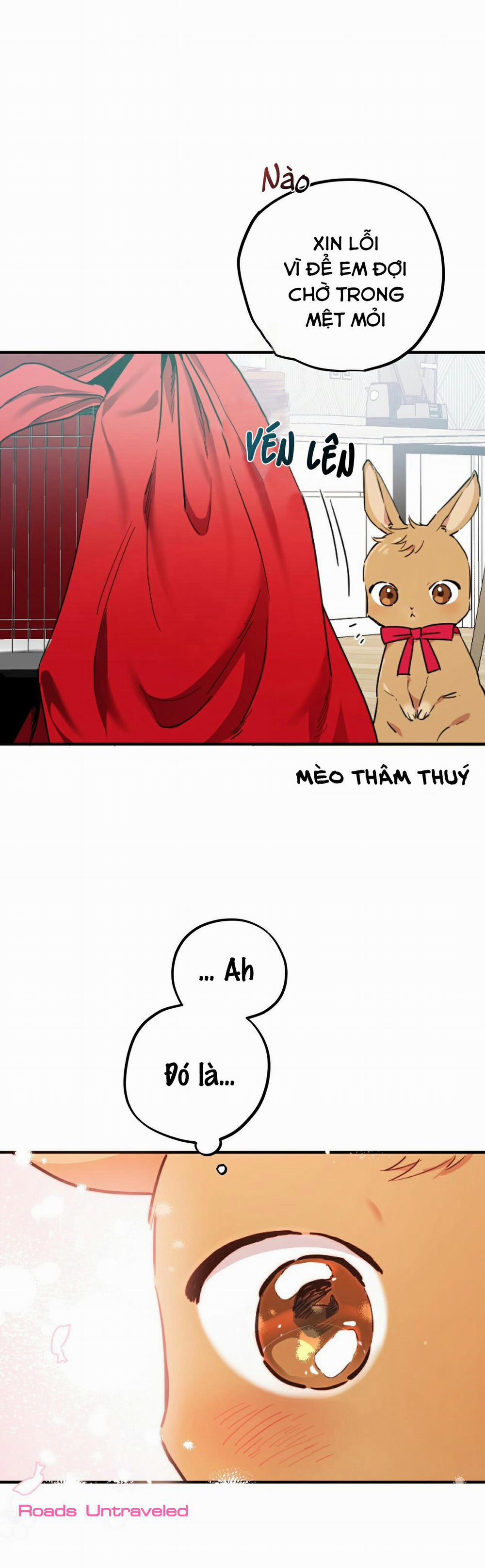 Những Chú Thỏ Của Habibi 2 trang 11