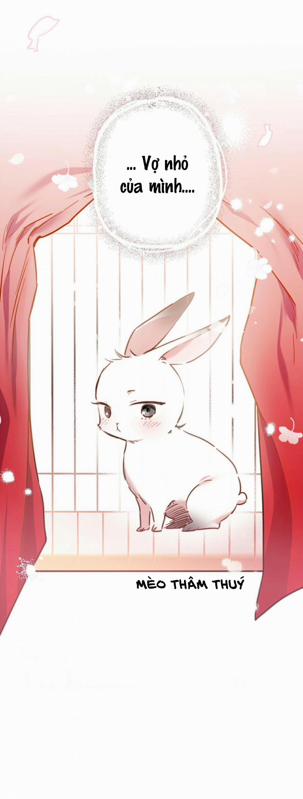 Những Chú Thỏ Của Habibi 2 trang 12