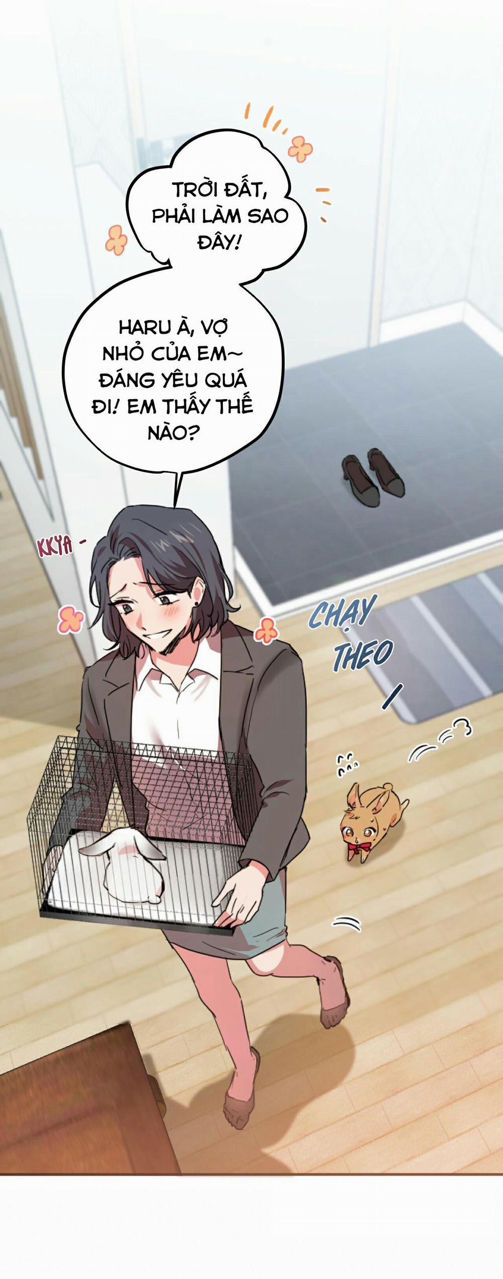 Những Chú Thỏ Của Habibi 2 trang 13