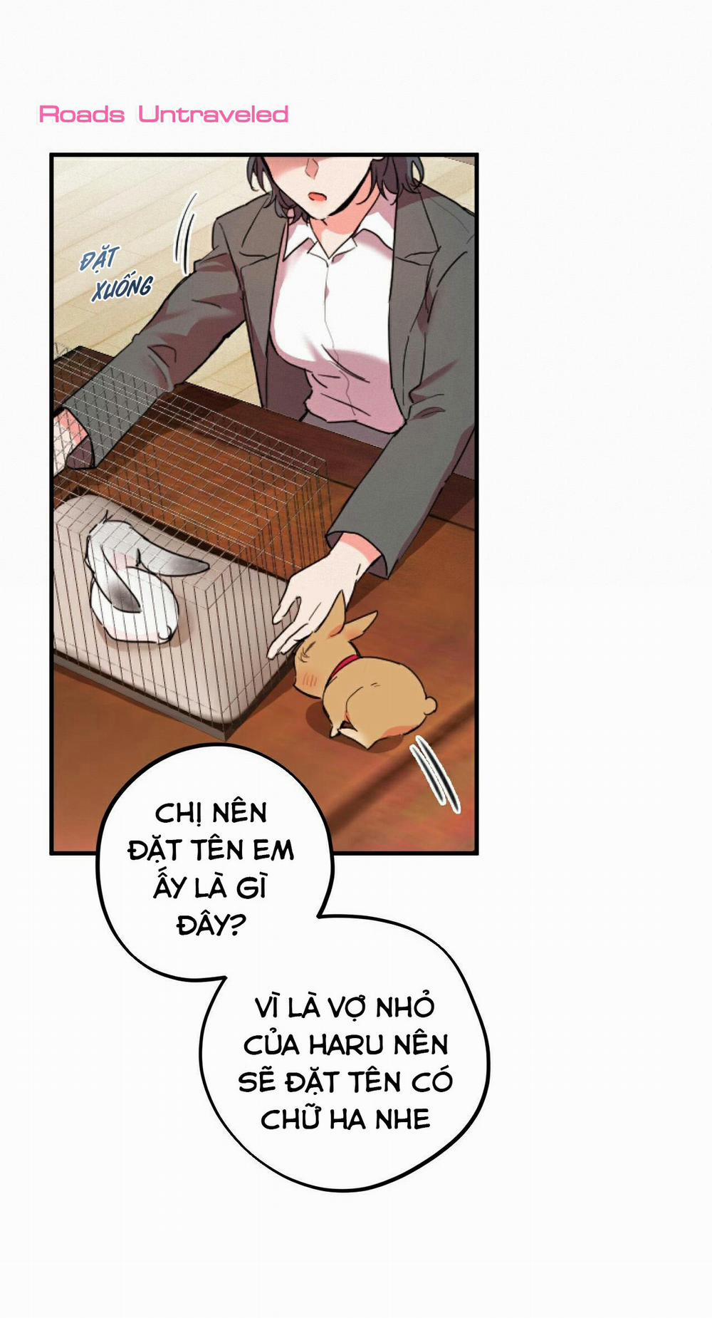 Những Chú Thỏ Của Habibi 2 trang 14