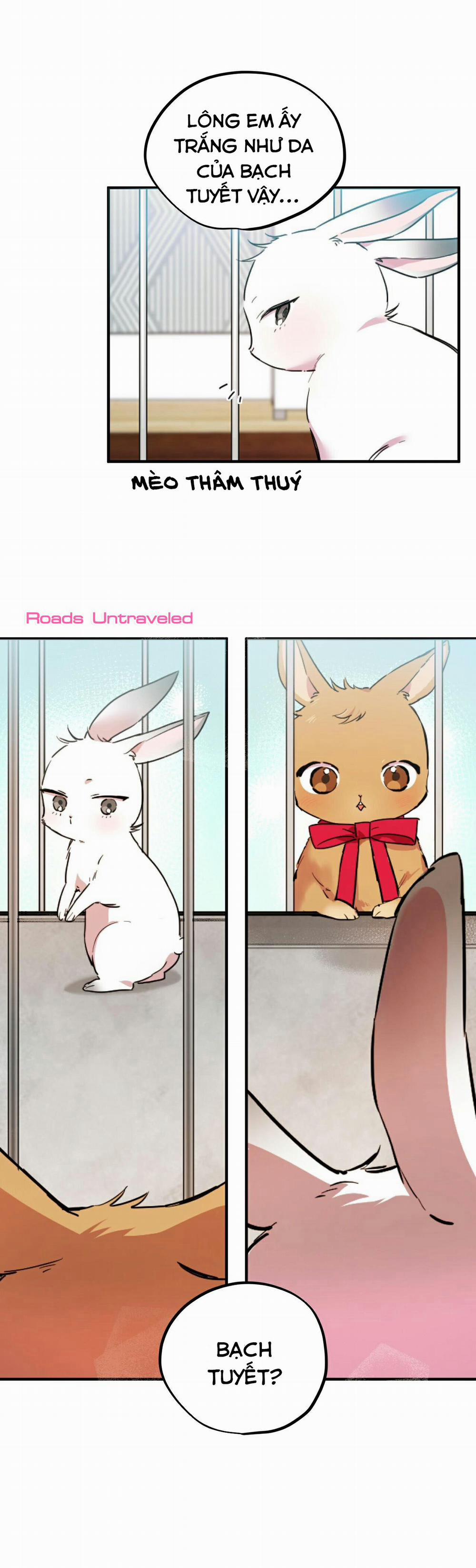 Những Chú Thỏ Của Habibi 2 trang 16