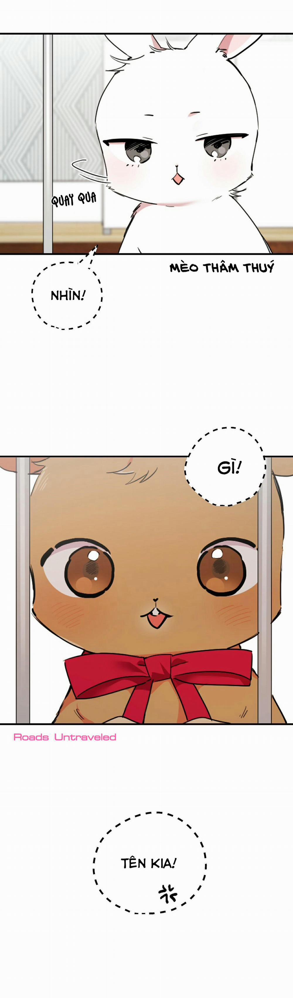 Những Chú Thỏ Của Habibi 2 trang 17