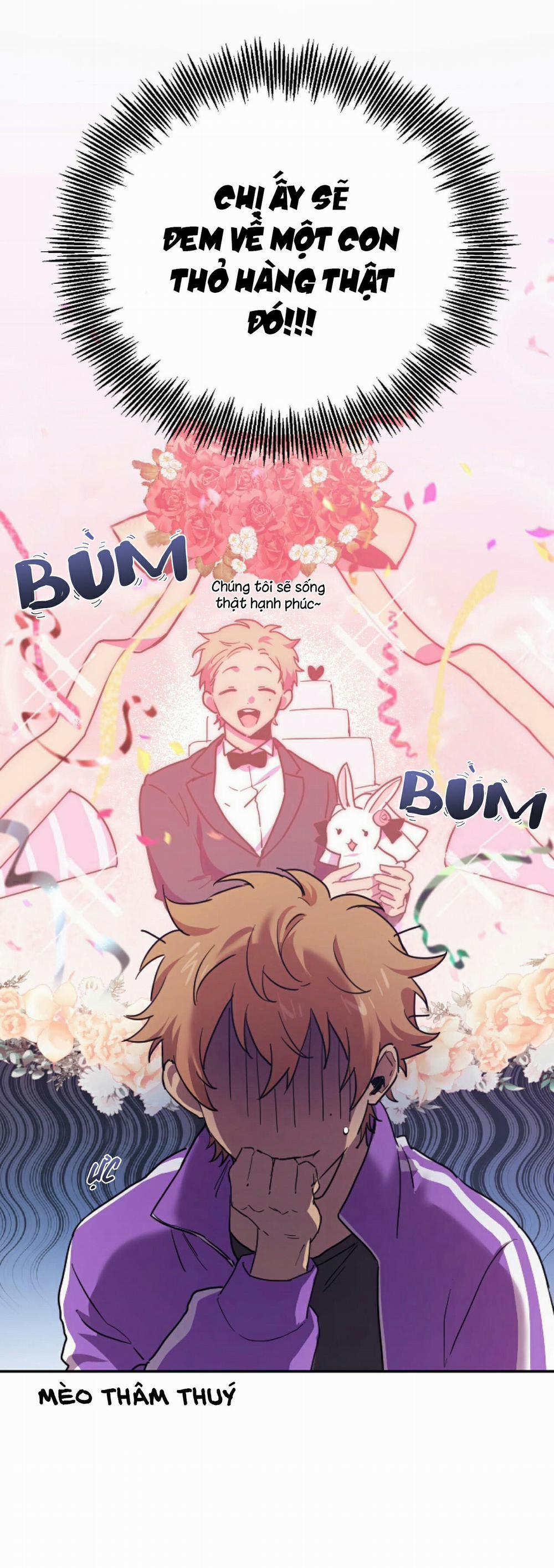 Những Chú Thỏ Của Habibi 2 trang 2