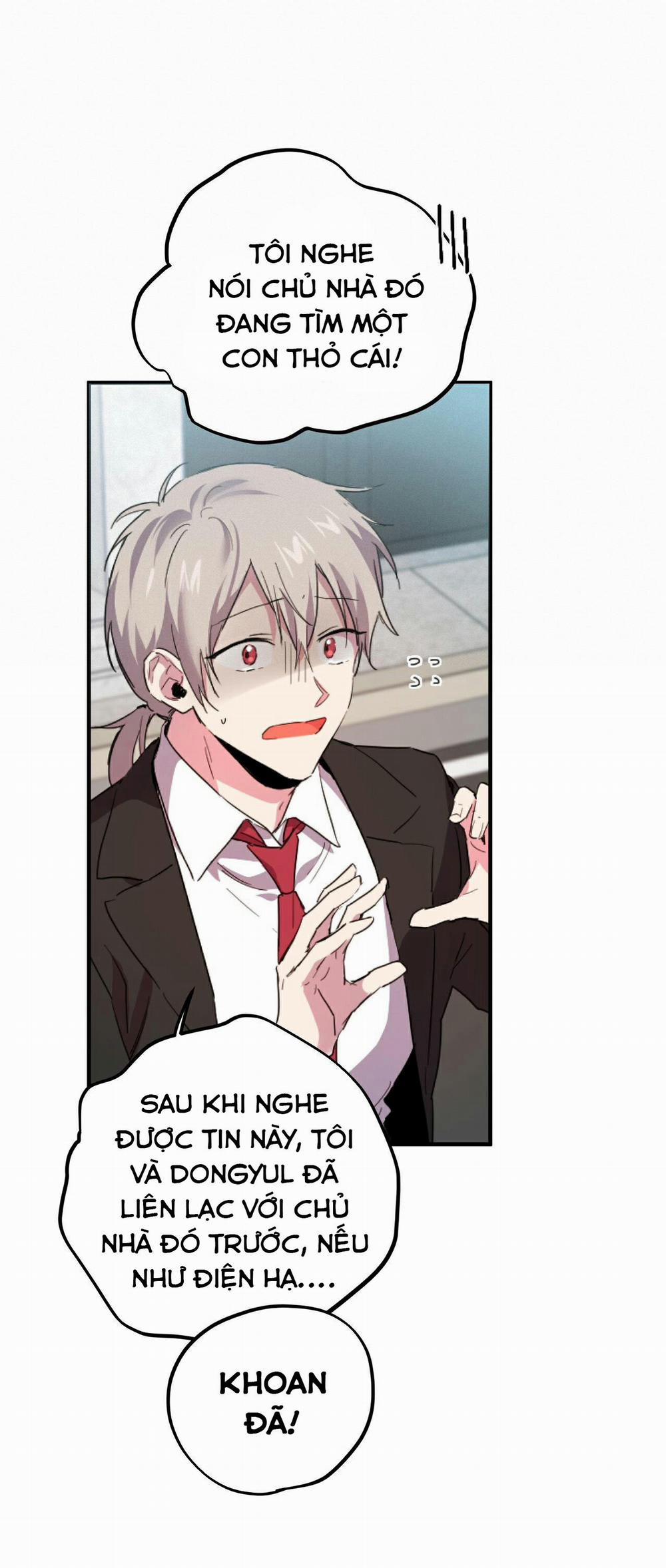 Những Chú Thỏ Của Habibi 2 trang 21