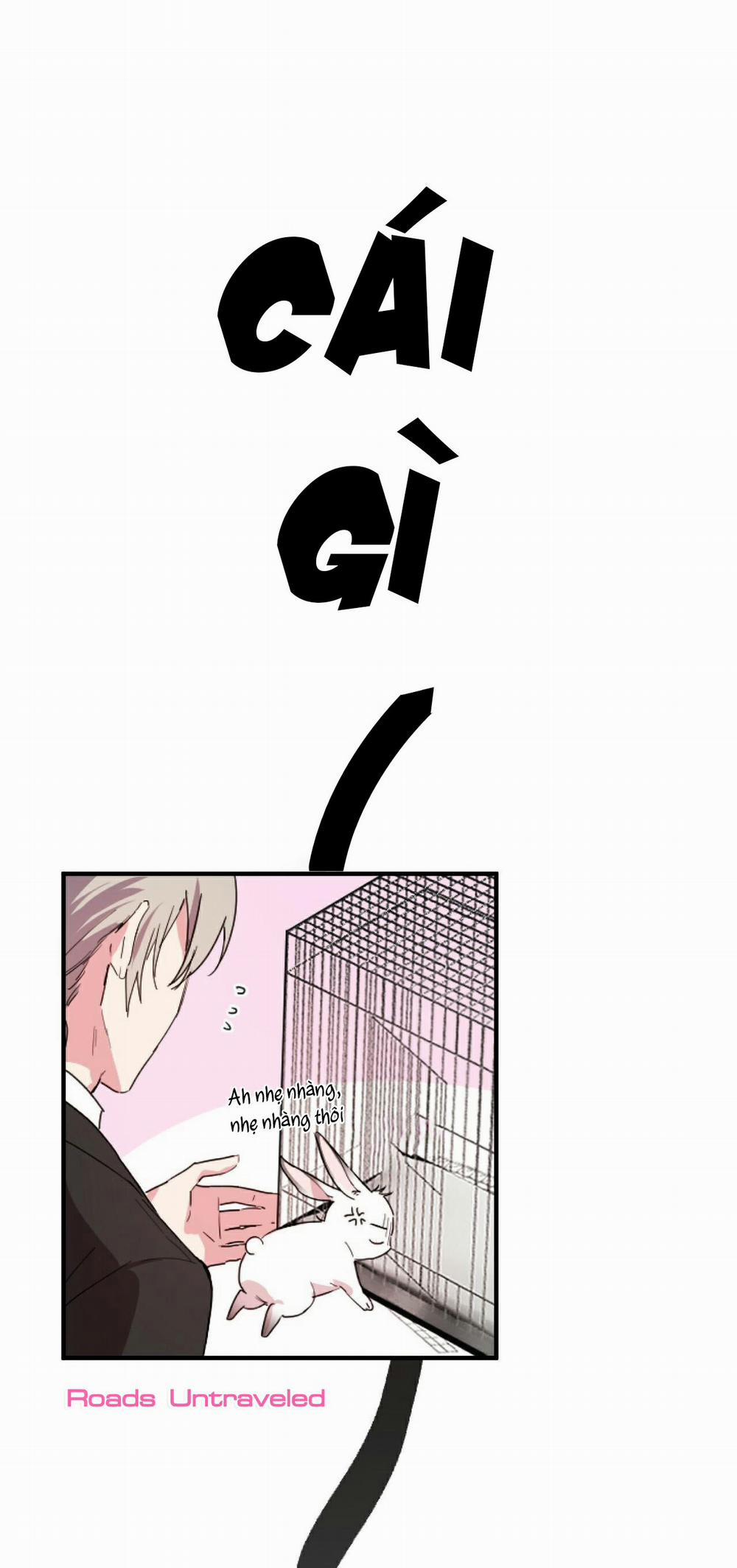 Những Chú Thỏ Của Habibi 2 trang 25