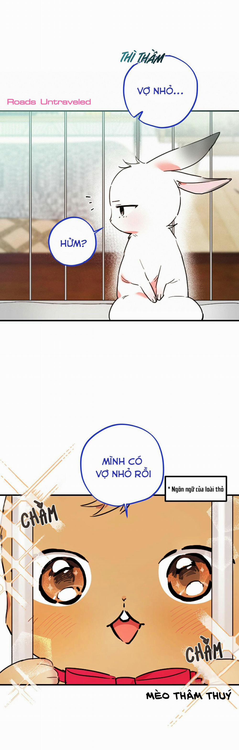 Những Chú Thỏ Của Habibi 2 trang 28