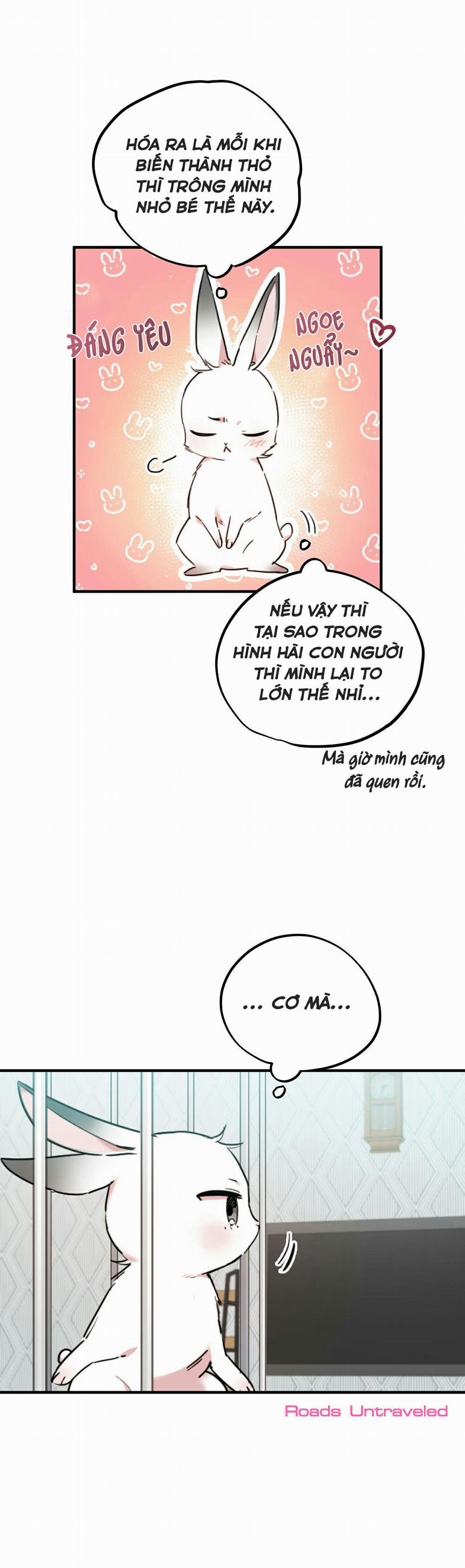 Những Chú Thỏ Của Habibi 2 trang 32