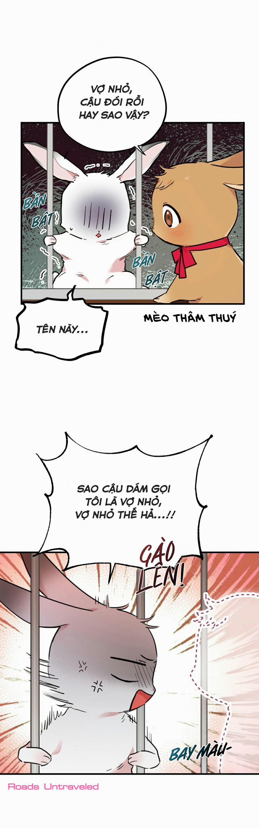 Những Chú Thỏ Của Habibi 2 trang 36