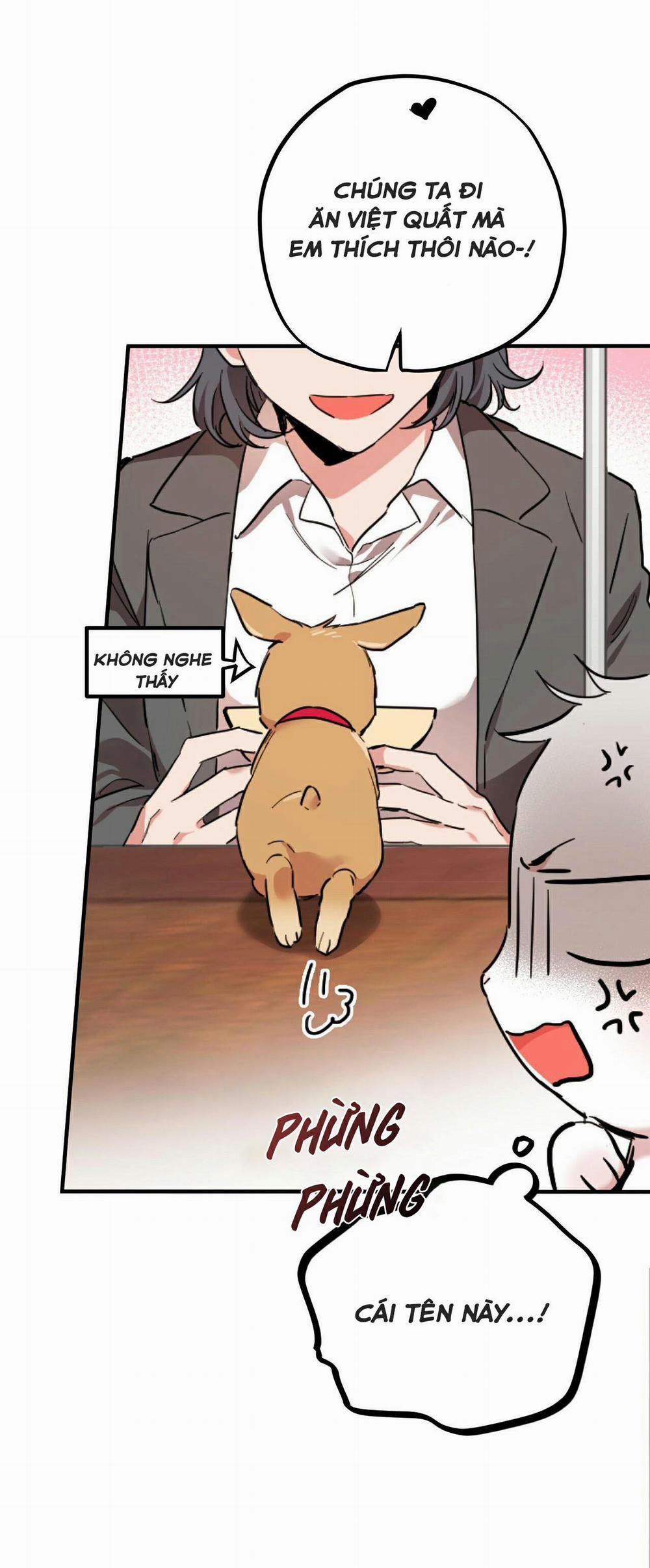 Những Chú Thỏ Của Habibi 2 trang 37