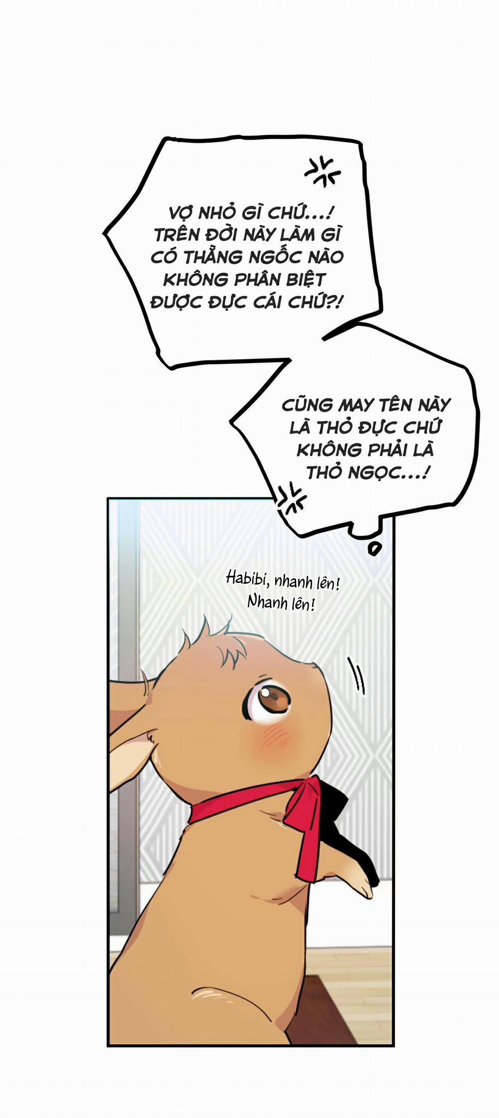 Những Chú Thỏ Của Habibi 2 trang 38