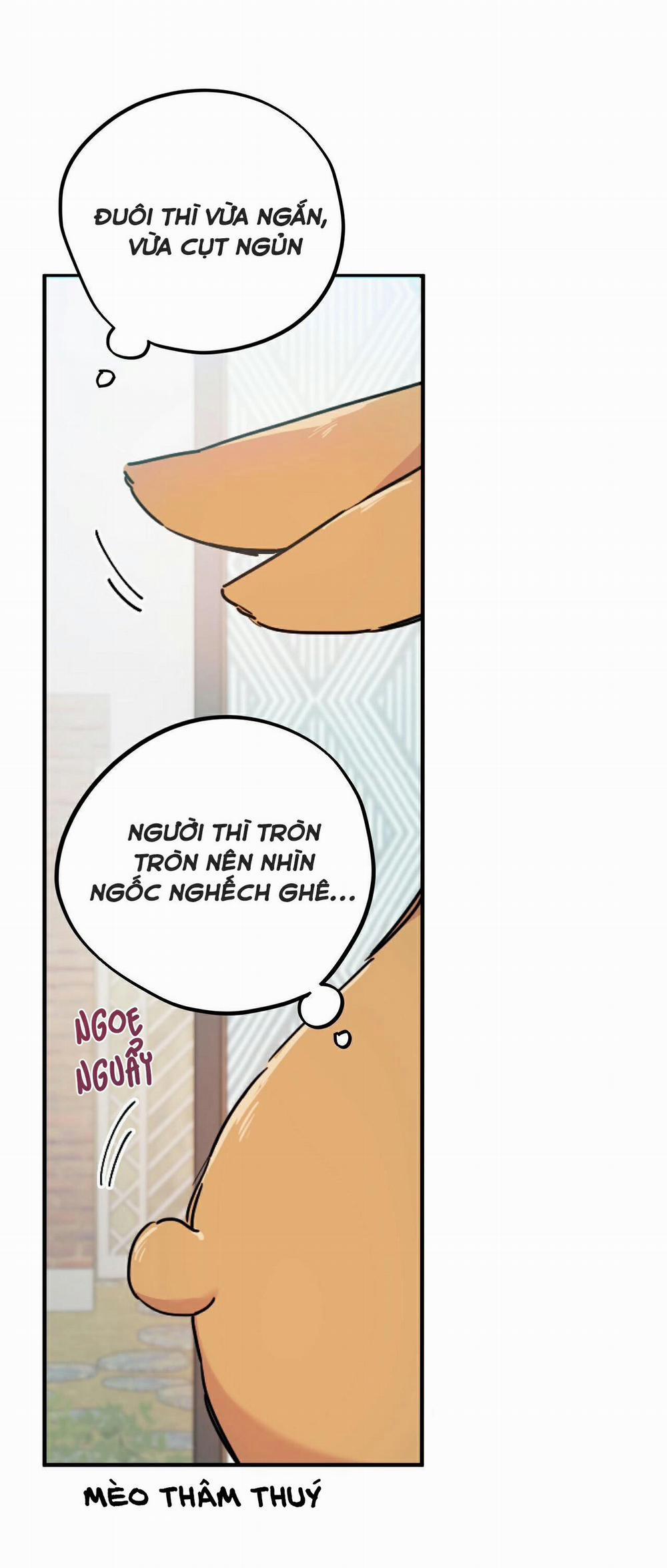 Những Chú Thỏ Của Habibi 2 trang 39