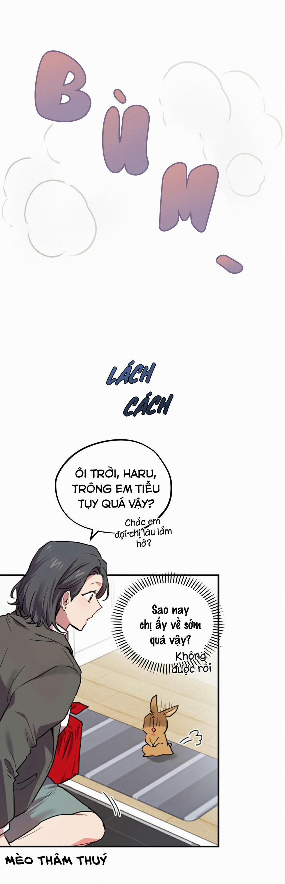 Những Chú Thỏ Của Habibi 2 trang 4