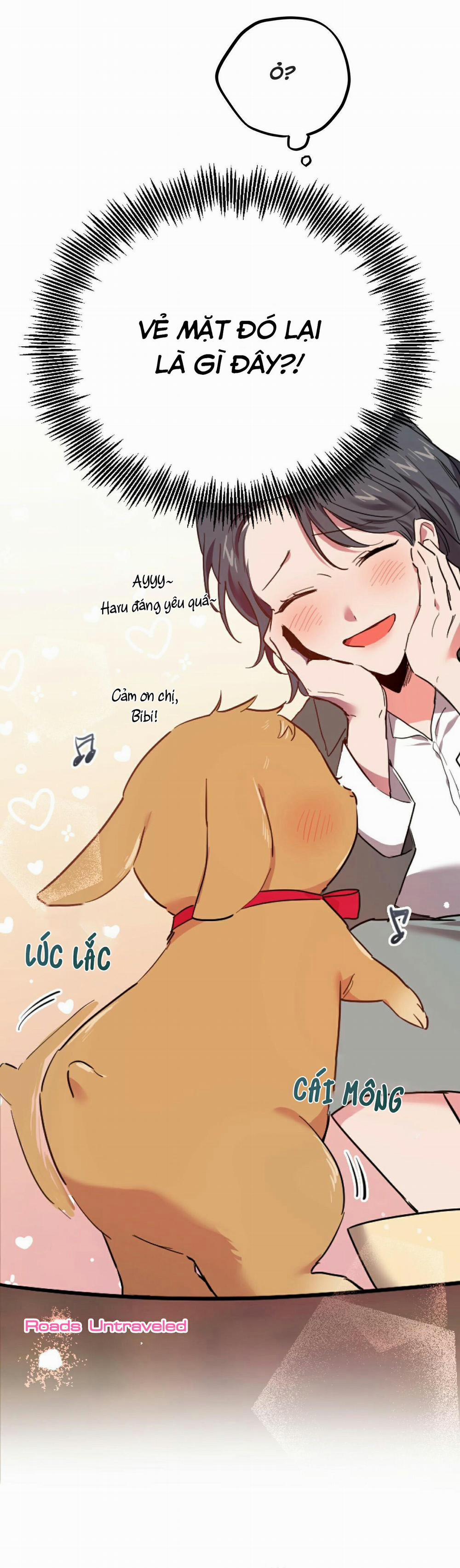 Những Chú Thỏ Của Habibi 2 trang 40