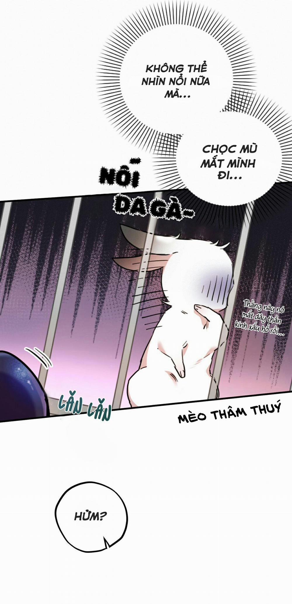 Những Chú Thỏ Của Habibi 2 trang 41