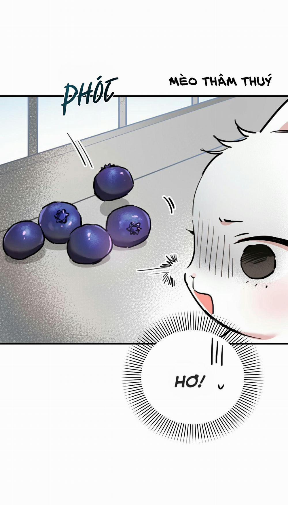 Những Chú Thỏ Của Habibi 2 trang 42