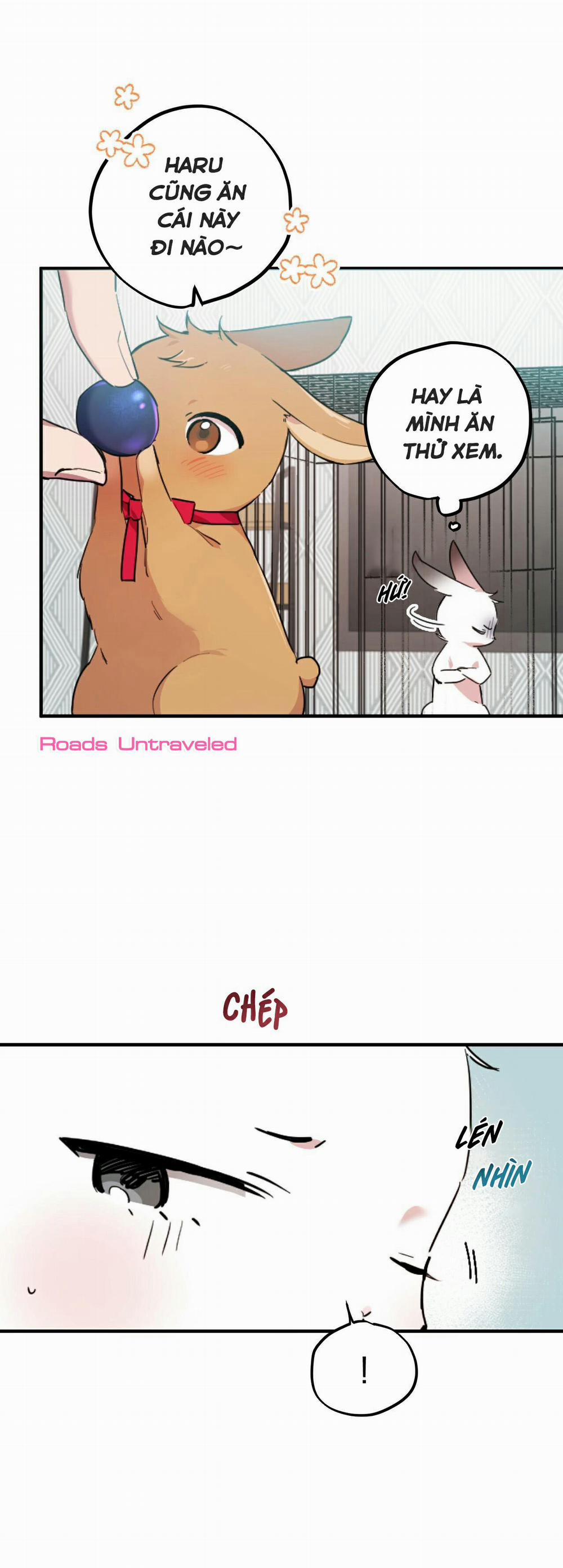 Những Chú Thỏ Của Habibi 2 trang 46