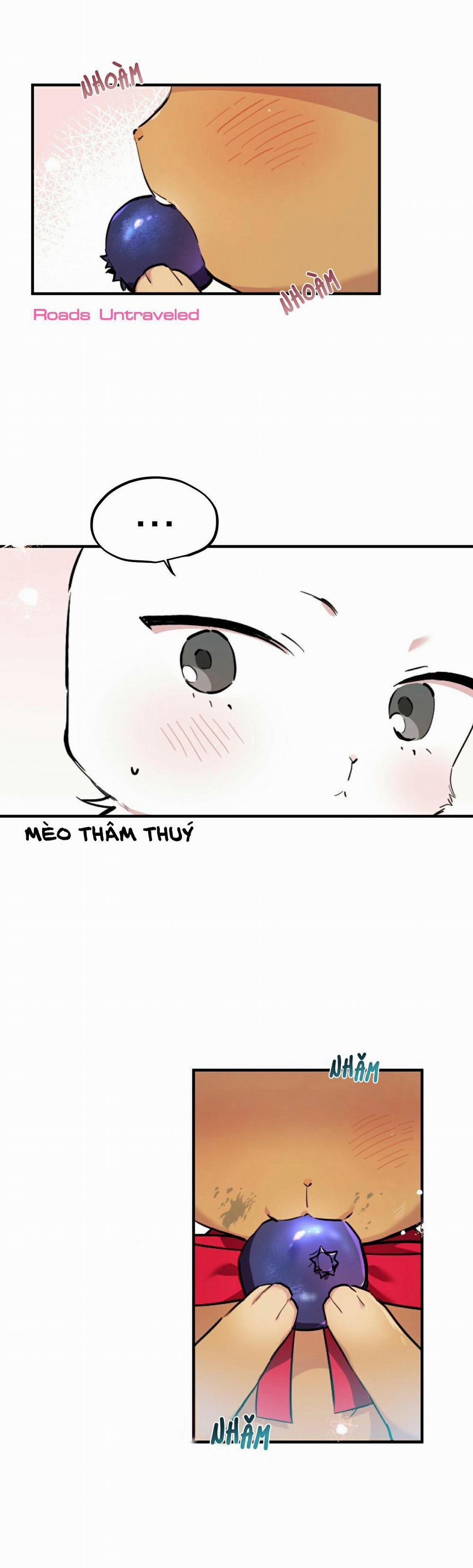 Những Chú Thỏ Của Habibi 2 trang 47