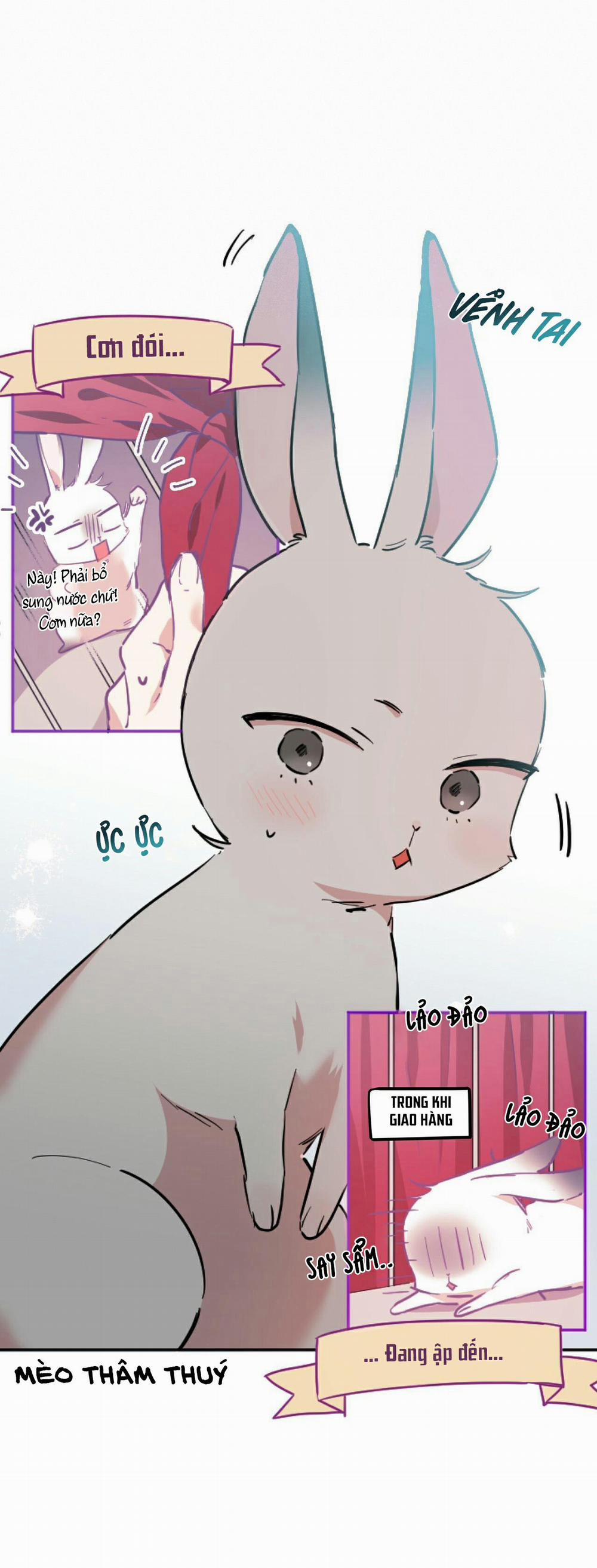 Những Chú Thỏ Của Habibi 2 trang 48