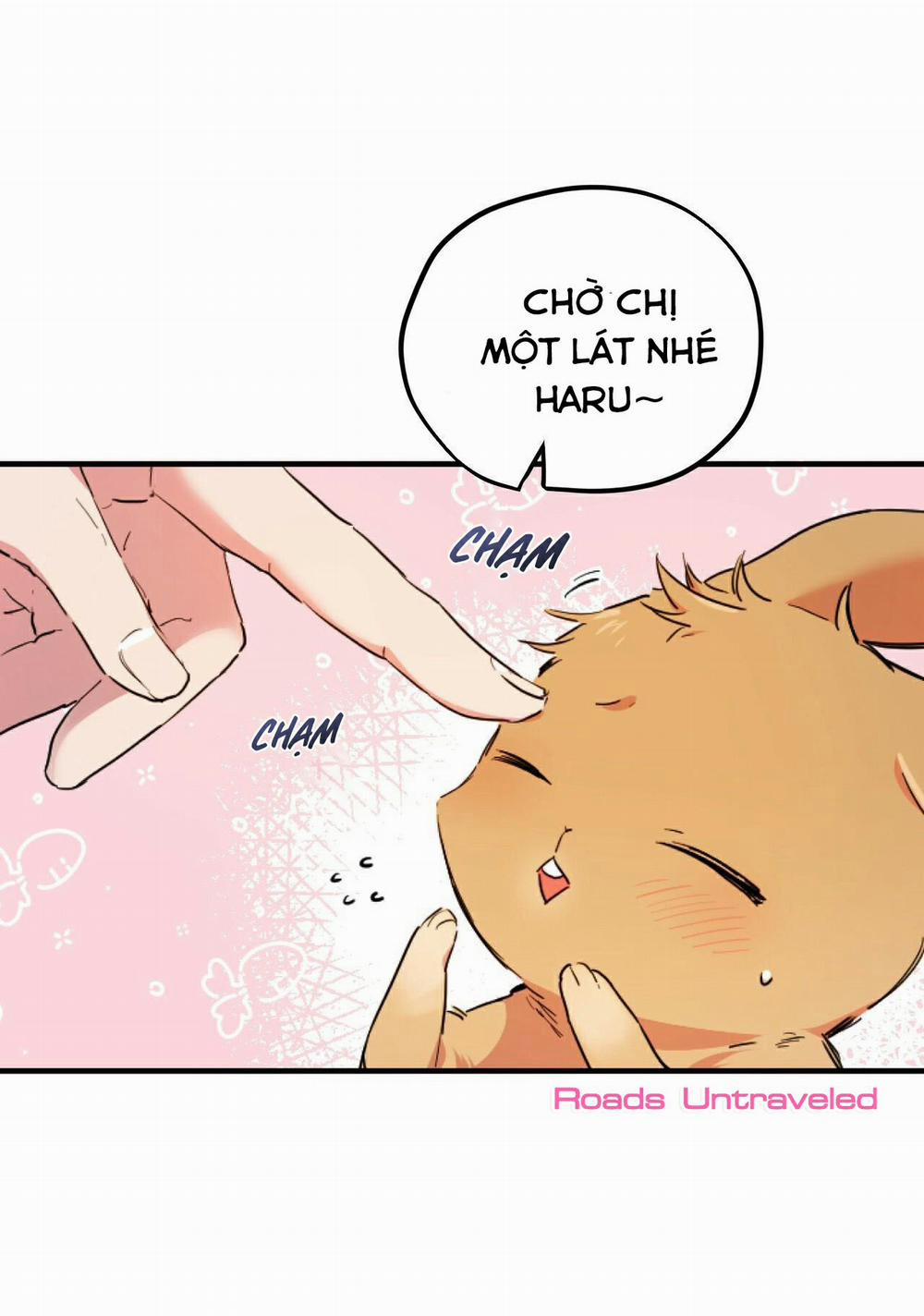 Những Chú Thỏ Của Habibi 2 trang 5